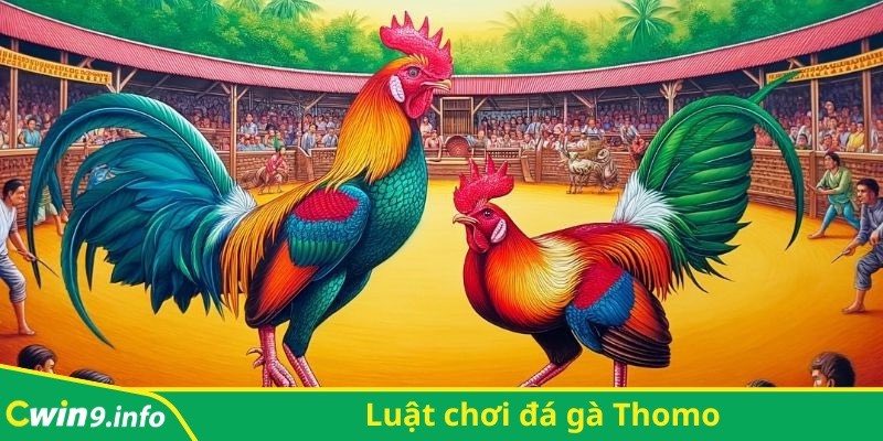 Luật chơi đá gà Thomo tương đối đơn giản